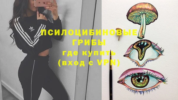 винт Михайловка