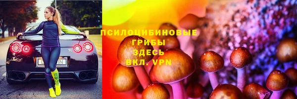 сатива Нефтекумск