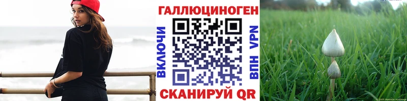 Купить где  Талдом  Галлюциногенные грибы прущие грибы 